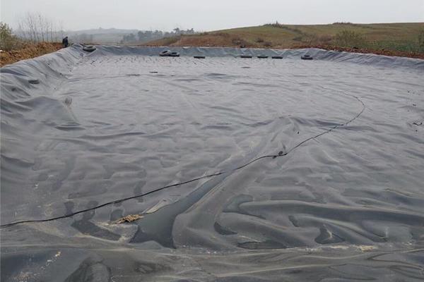 土工膜在種植中的應(yīng)用價值：防滲土工膜能否用于種植？  第2張