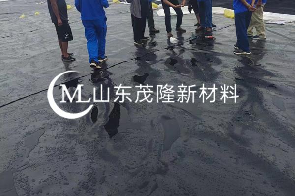 《中國石化洛陽分公司洛陽原油商儲基底工程項(xiàng)目》土工膜施工