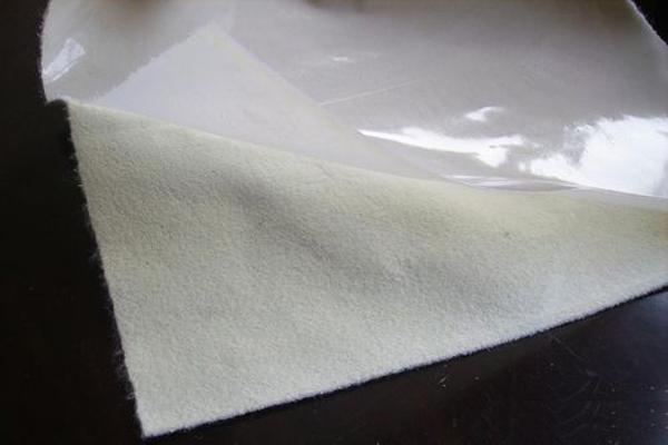 非織造復(fù)合土工膜的優(yōu)缺點(diǎn)大揭秘  第2張